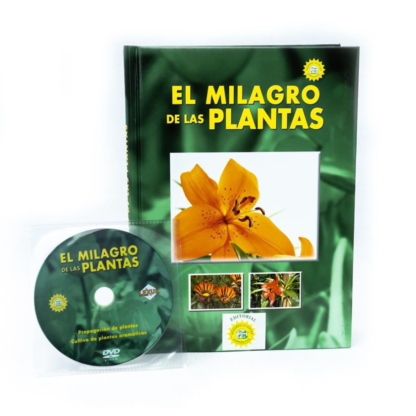 EL MILAGRO DE LAS PLANTAS