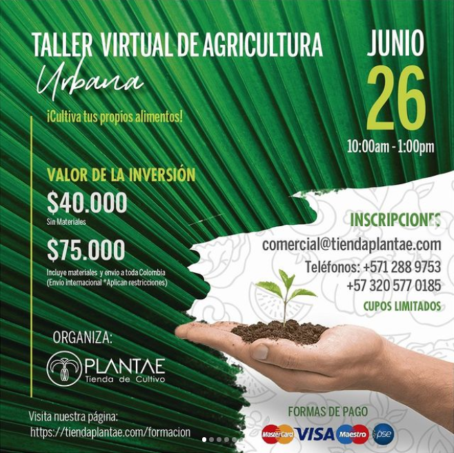 Taller Virtual de Agricultura Urbana