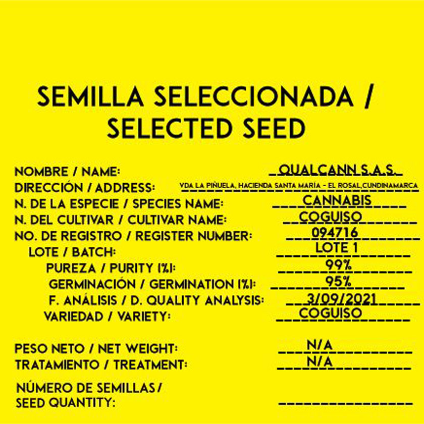 SEMILLA CARTAGENA GOLDEN - Imagen 3